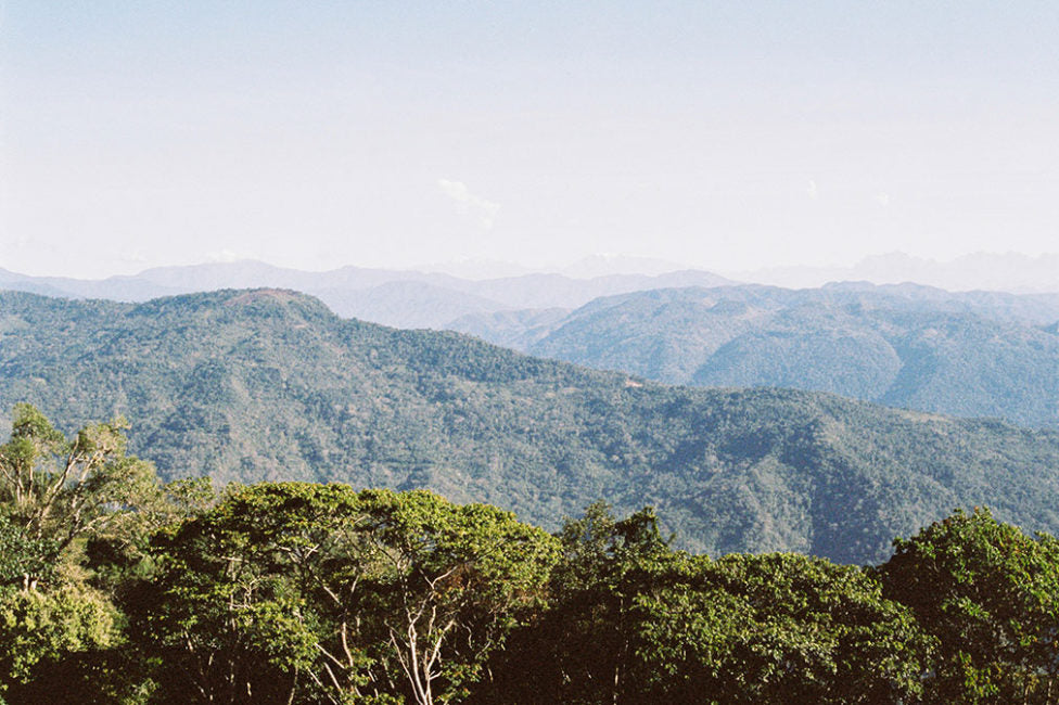 Pedro Flores, Bolivia, Filter