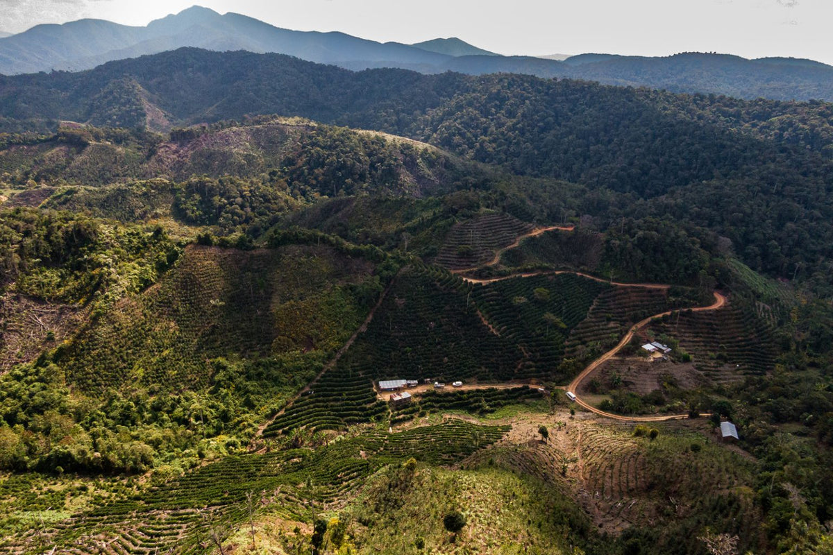 Pedro Flores, Bolivia, Filter